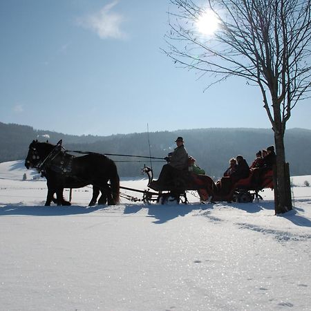 Bio-Bauernhof Samerhof มาริอัปฟาร์ ภายนอก รูปภาพ