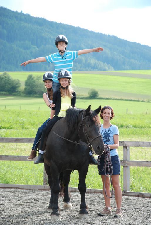 Bio-Bauernhof Samerhof Villa มาริอัปฟาร์ ภายนอก รูปภาพ