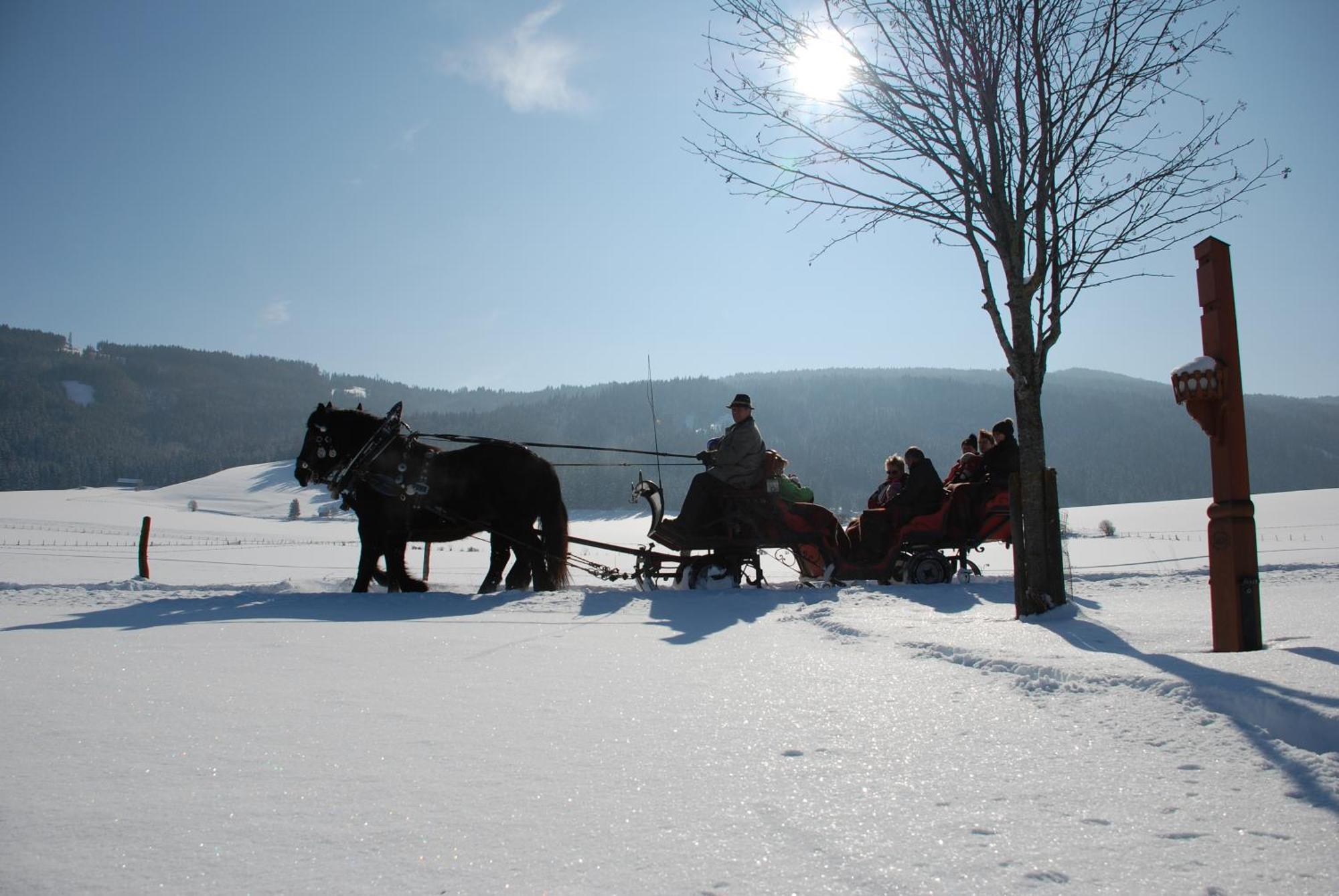 Bio-Bauernhof Samerhof Villa มาริอัปฟาร์ ภายนอก รูปภาพ